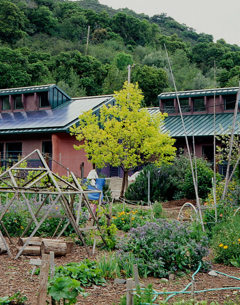 Wolken Education Center